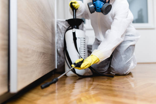 Best Pest Prevention Services  in Malden, MO