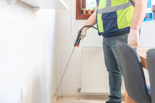 Best Pest Control Near Me  in Malden, MO