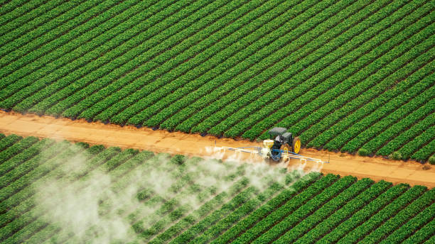 Pest Control Cost in Malden, MO