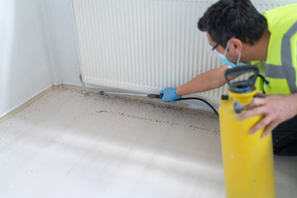 Professional Pest Control in Malden, MO