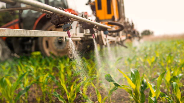 Best Pest Control Treatment  in Malden, MO