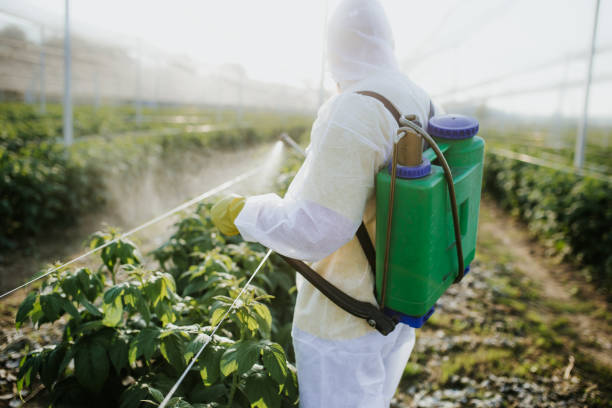  Malden, MO Pest Control Pros